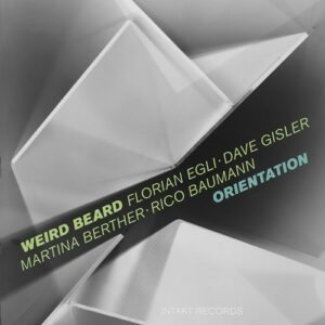 Orientation - Weird Beard