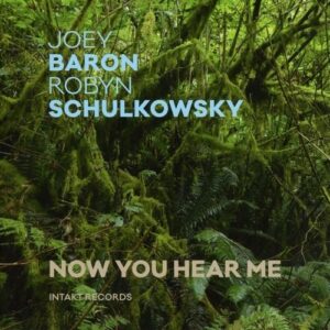 Now You Hear Me - Joey Baron