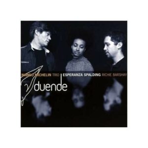 Duende - Nando Michelin Trio