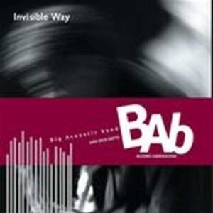 Invisible Way - Big Acoustic Band