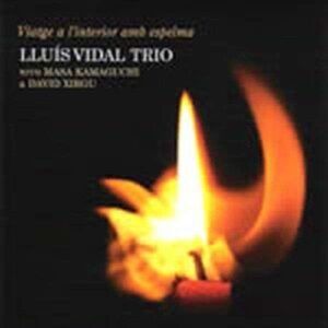 Viatge A L'Interior Espel - Lluis Vidal Trio