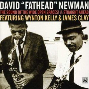 The Sound Of The Wide Open Spaces - David 'Fathead' Newman