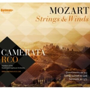 Mozart - Strings & Winds