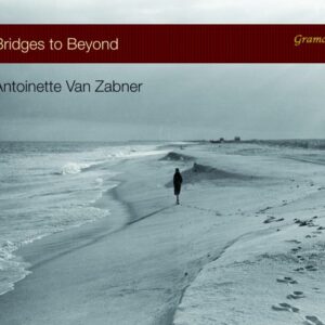 Bridges to Beyond : Œuvres pour piano. Van Zabner.