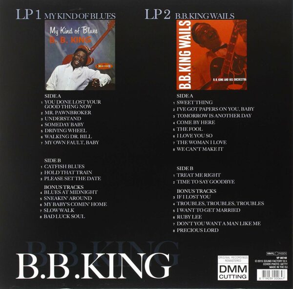 B.B. King Wails / My Kind Of Blues (Vinyl) - B.B. King