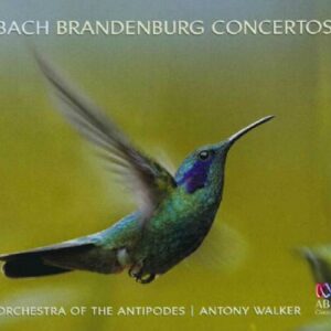 Johann Sebastian Bach : Brandenburg Concertos