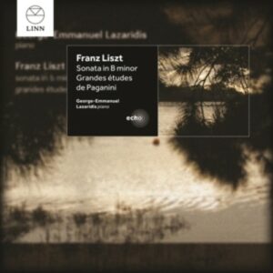 Liszt, Franz: Sonata And Etudes