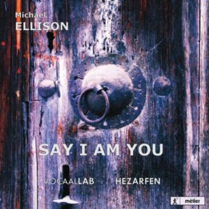 Michael Ellison : Say I am you (Mevlâna)