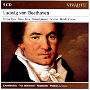 Beethoven : Musique de chambre. L'Archibudelli, Bylsma.