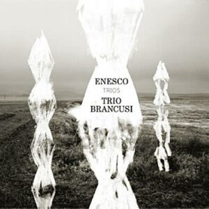 Enescu : Les deux trios. Trio Brancusi.