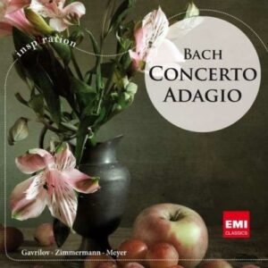 Bach : Concertos