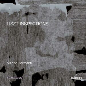 Liszt, Franz: Liszt Inspections