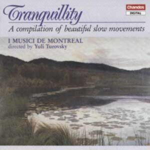 Tranquility (Une compilation de magnifiques mouvements lents)
