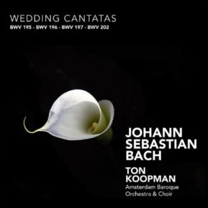 Bach : Wedding Cantatas