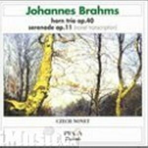 Brahms : Sérénade en ré majeur op.11 / Trio avec cor en mi bémol majeur op.40