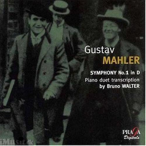 Mahler : Symphony No. 1 in D (Piano Duet Transcription)