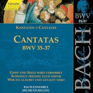Bach J S : Cantatas, BWV 35-37