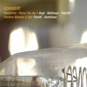 Trio n°1 op.99 : Trockne Blumen D802