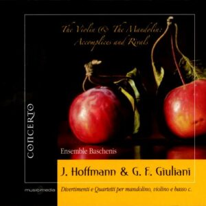 Hoffmann, Giuliani : Mandoline et violon II. Baschenis.