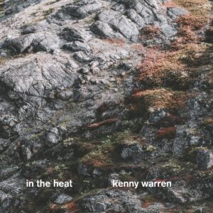 In The Heat (Vinyl) - Kenny Warren Trio