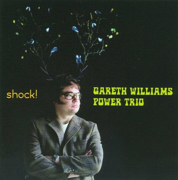 Shock! - Gareth Williams Power Trio