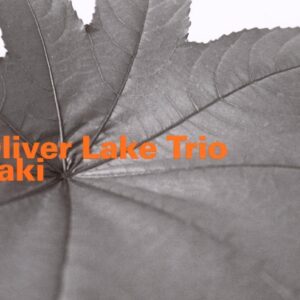Zaki - Oliver Lake Trio