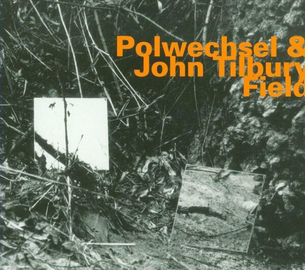 Field - Polwechsel & John Tilbury