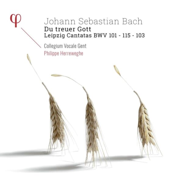 Bach: Du Treuer Gott, Leipziger Cantatas BWV 101, 115 & 103 - Philippe Herreweghe