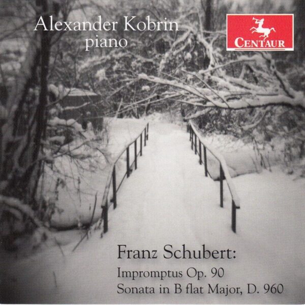 Franz Schubert - Alexander Kobrin