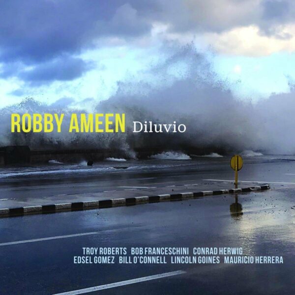 Diluvio - Robby Ameen