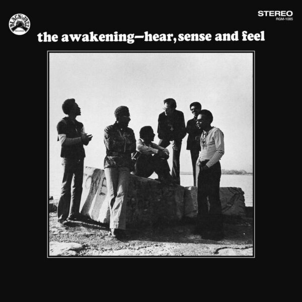 Hear,  Sense And Feel (Vinyl) - The Awakening