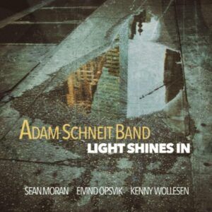 Light Shines In - Adam Schneit Band