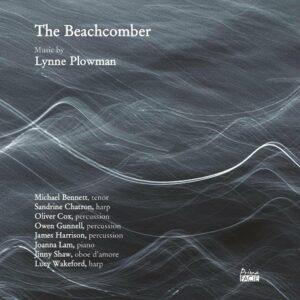 Lynne Plowman: Beachcomber - Michael Bennett