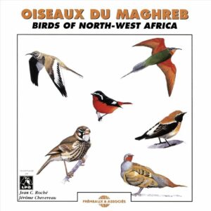 Les Oiseaux Du Maghreb - Birds Of North-West Africa