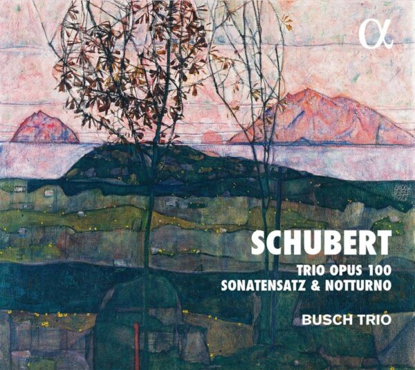 Franz Schubert: Trio Opus 100, Sonatensatz & Notturno - Busch Trio