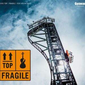 Fragile (Vinyl) - Tjeerd Top