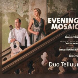 Evening Mosaic - Duo Telluur