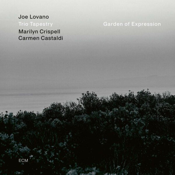 Garden Of Expression (Vinyl) - Joe Lovano