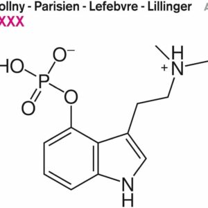 XXXX (Vinyl) - Wollny-Parisien-Lefebvre-Lillinger