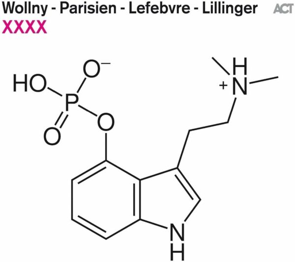 XXXX (Vinyl) - Wollny-Parisien-Lefebvre-Lillinger