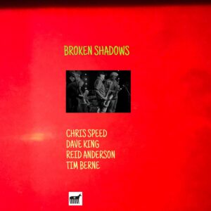 Broken Shadows - Tim Berne