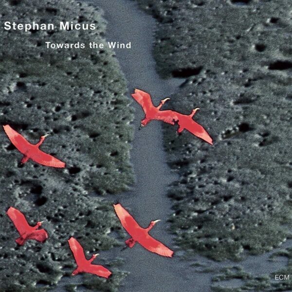 Towards The Wind - Stephan Micus