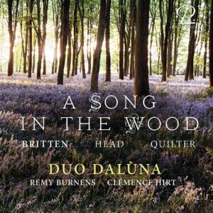 A Song In The Wood - Duo Daluna