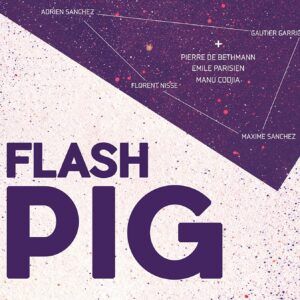 Flash Pig - Flash Pig