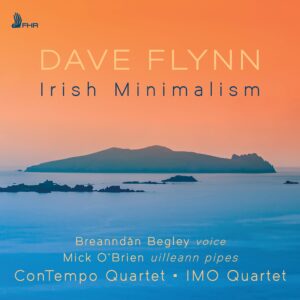 Dave Flynn: Irish Minimalism - Breanndan Begley
