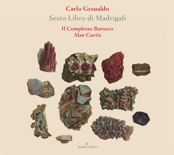 Carlo Gesualdo: Sesto Libro De Madrigali (1611) - Il Complesso Barocco