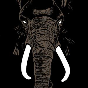 Don't Buy Ivory Anymore, The Music Of Henri Texier - Palm Unit