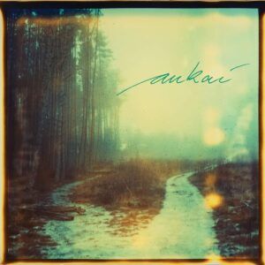 Aukai (Vinyl) - Aukai