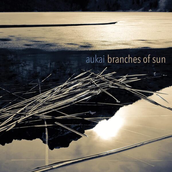 Branches Of Sun - Aukai