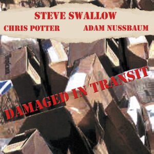 Damaged In Transit - Steve Swallow